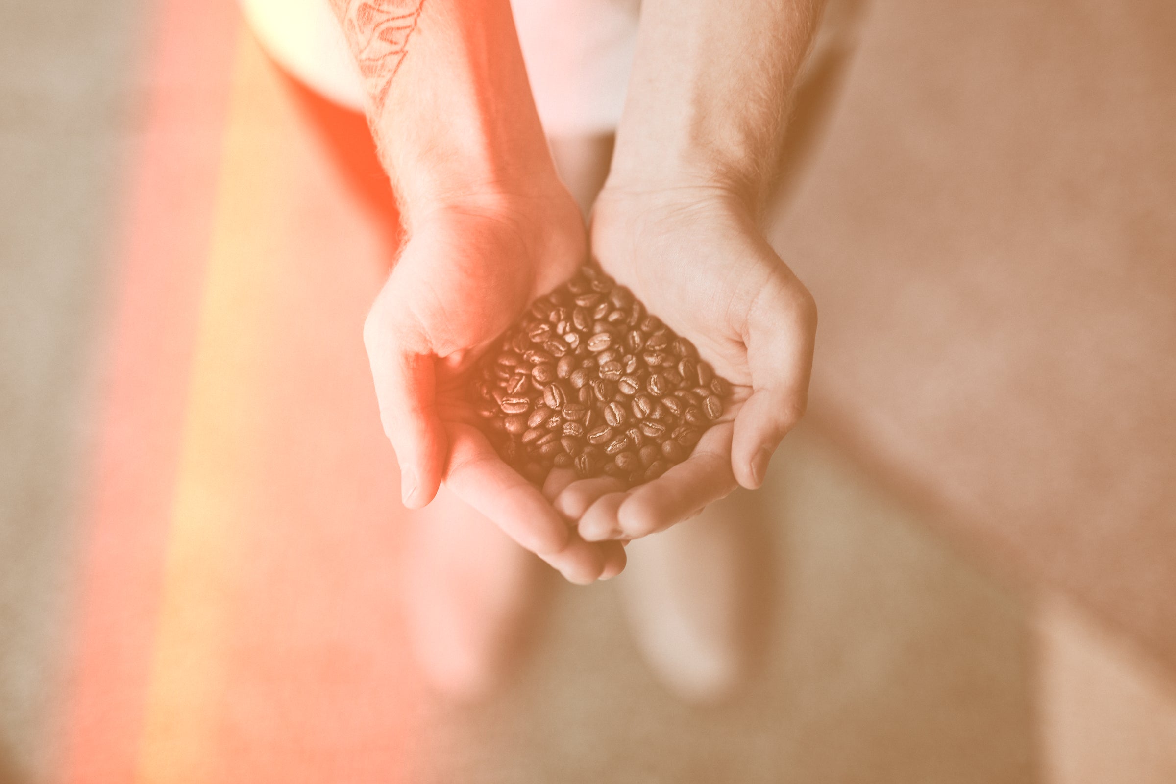 Combien De Café Avec 1kg De Grain Café Grain * 1kg 8 Pourquoi choisir du café en grain? – Forts de Café