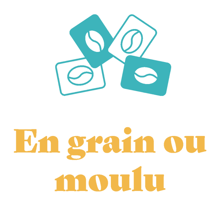 Nos cafés de spécialité en grain ou moulu